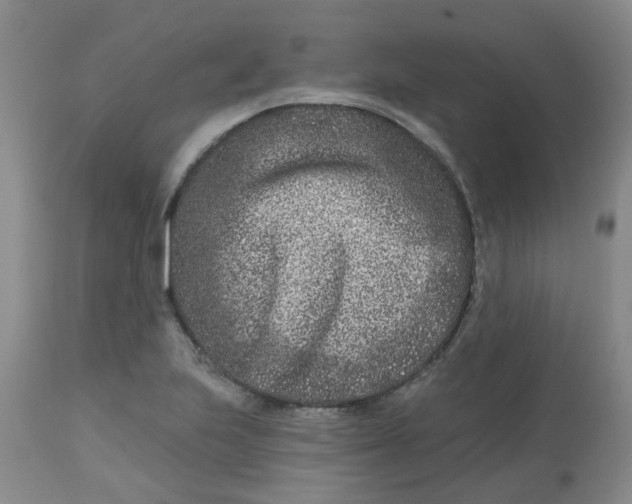 X0000113121223200909111131