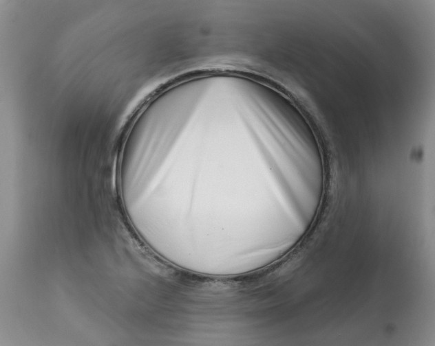 X0000113121224200909111131