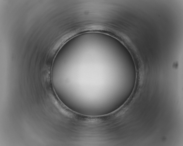 X0000113121225200909111131