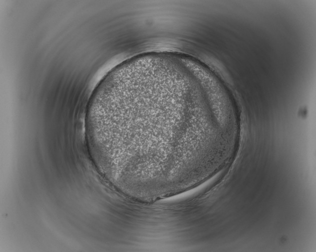 X0000113121226200909111131