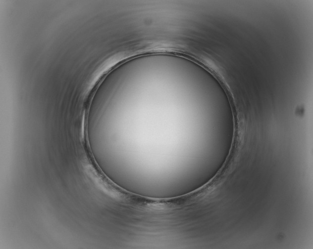 X0000113121227200909111131