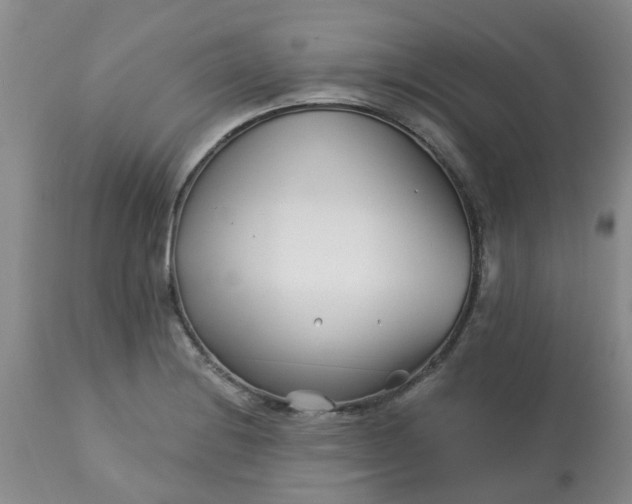 X0000113121228200909111131