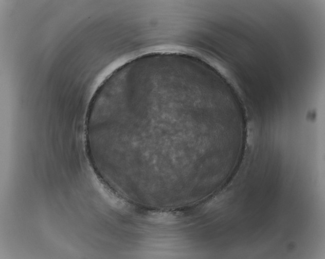 X0000113121229200909111131