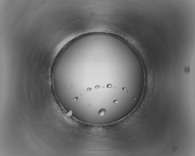 X0000113121230200909111131