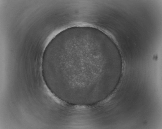 X0000113121231200909111131