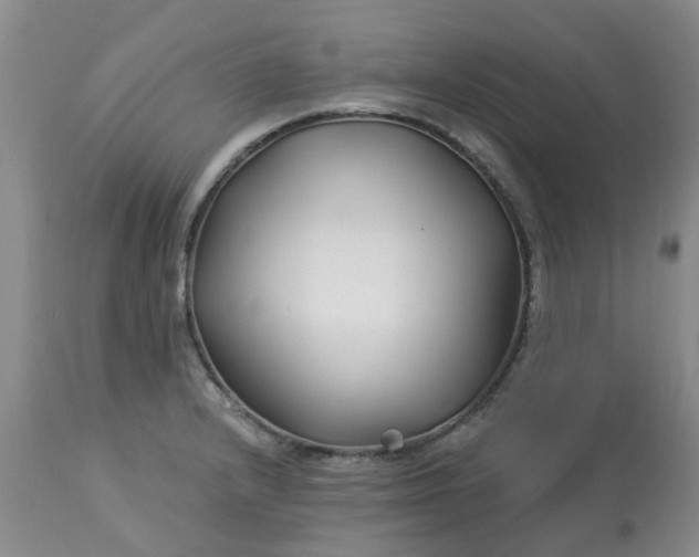 X0000113121232200909111131