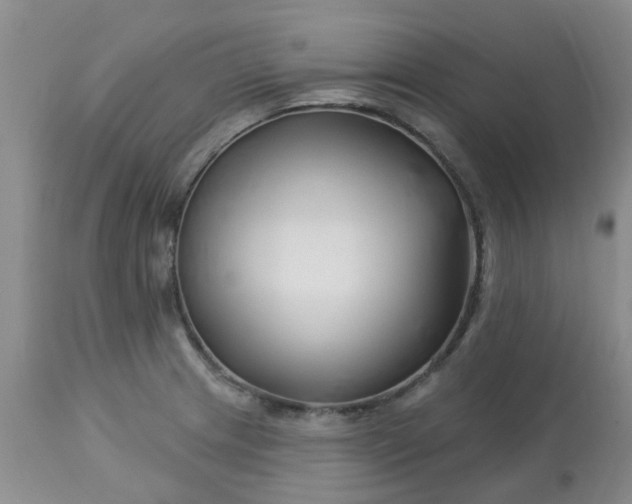 X0000113121233200909111131