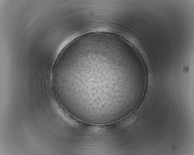 X0000113121234200909111131