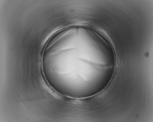 X0000113121235200909111131