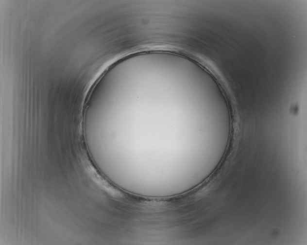 X0000113121236200909111131