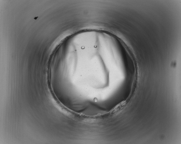 X0000113121237200909111131