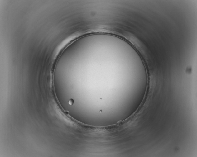 X0000113121238200909111131