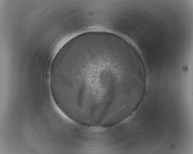 X0000113121239200909111131