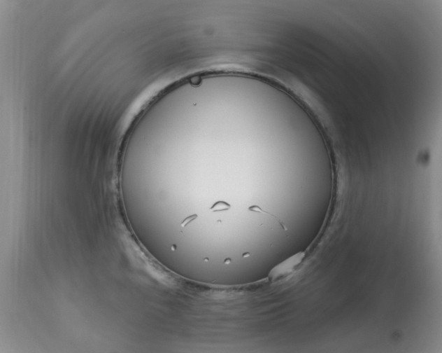 X0000113121240200909111131