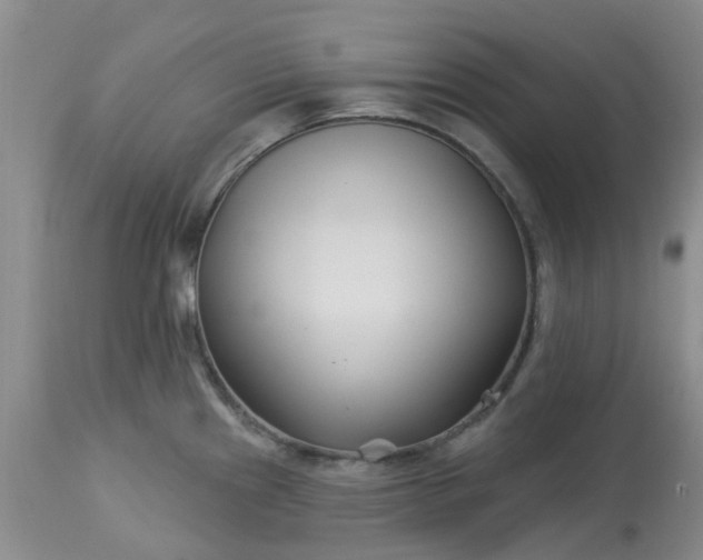 X0000113121241200909111132