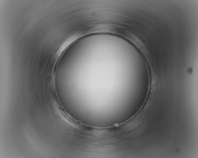 X0000113121242200909111132