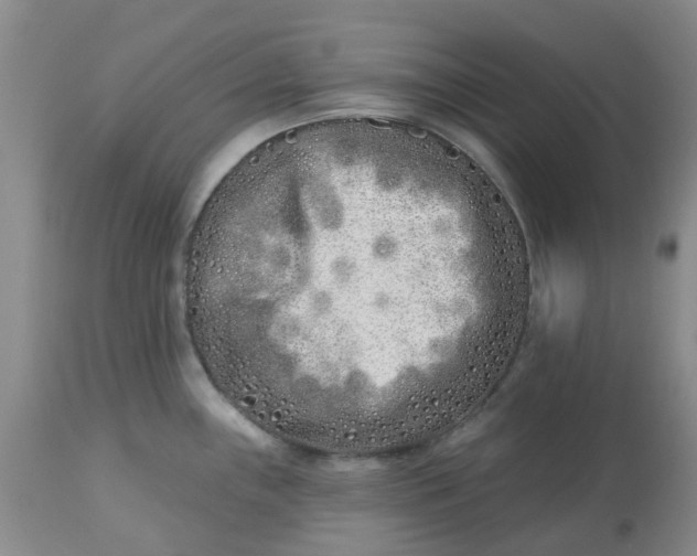 X0000113121243200909111132