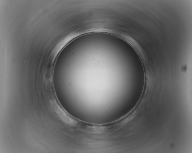 X0000113121244200909111132