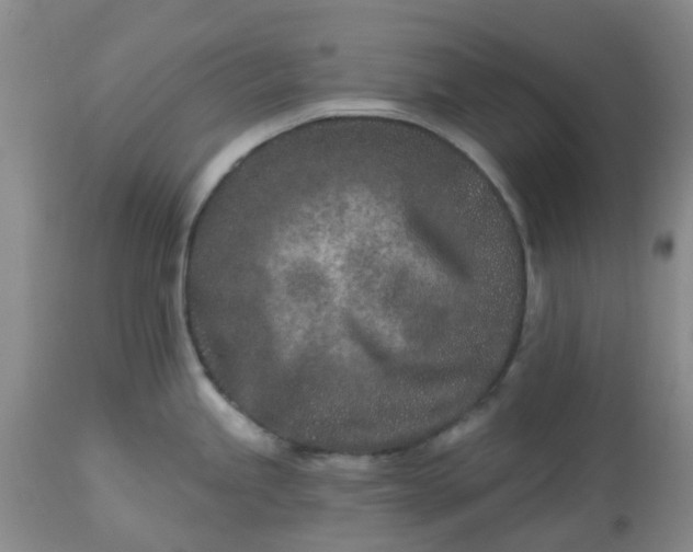 X0000113121245200909111132