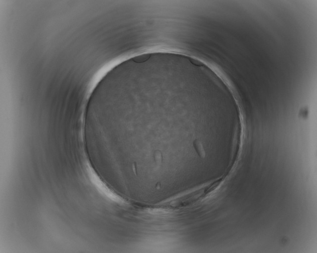 X0000113121246200909111132