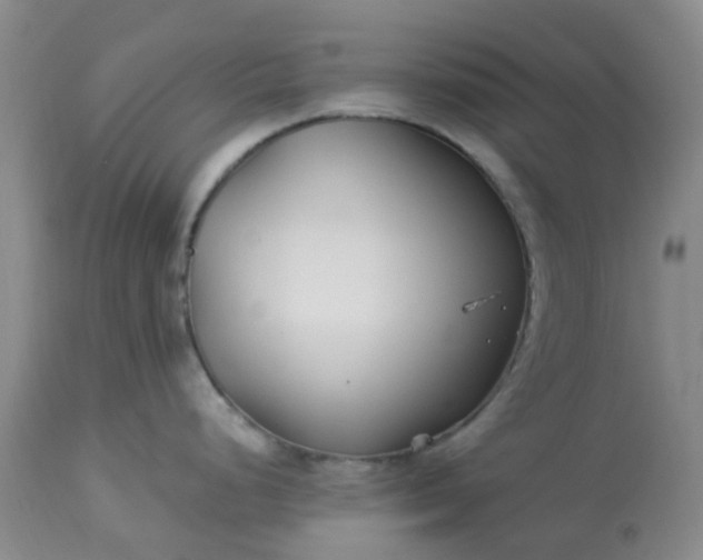 X0000113121248200909111132