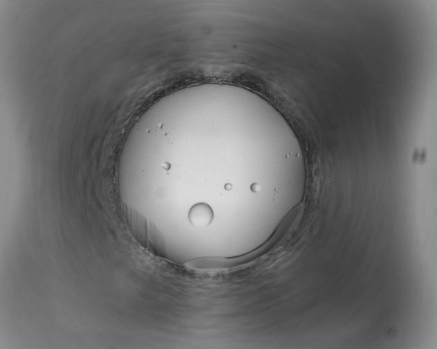 X0000113121249200909111131