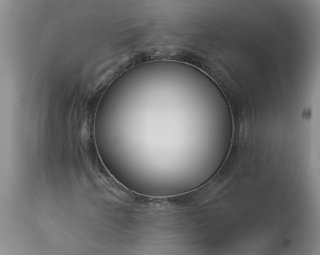 X0000113121250200909111131