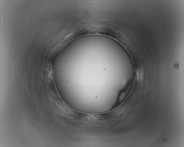 X0000113121251200909111131