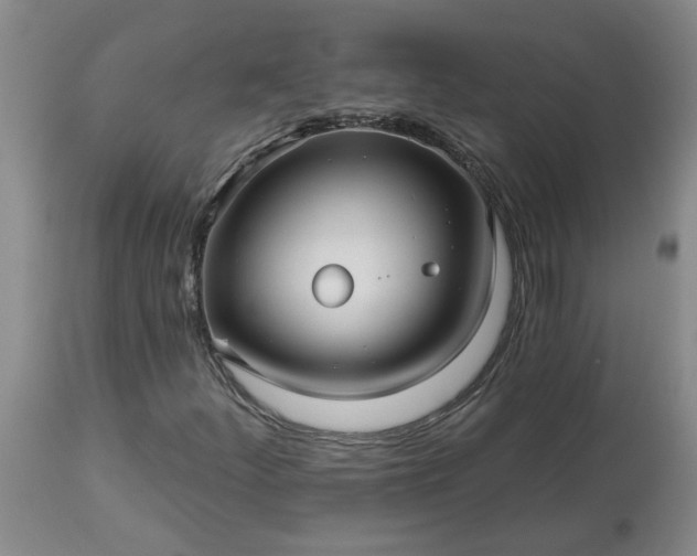 X0000113121252200909111131