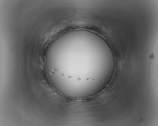 X0000113121253200909111131