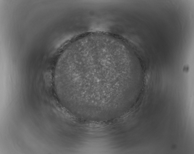 X0000113121254200909111131