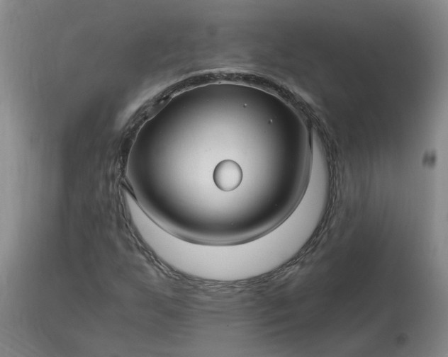 X0000113121255200909111131