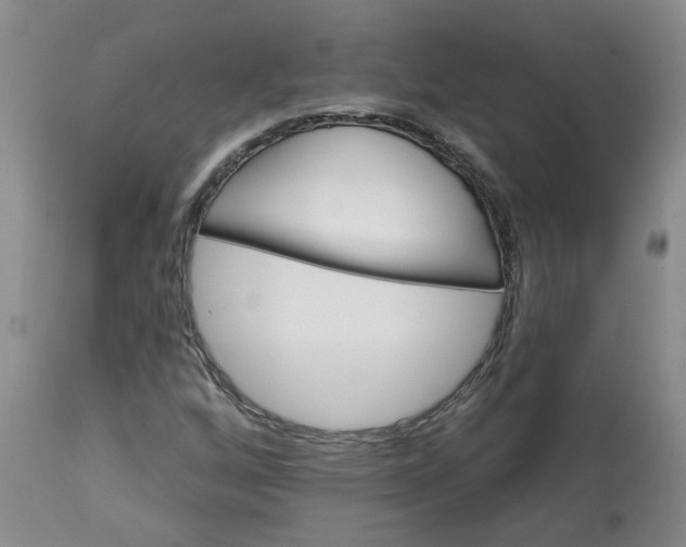 X0000113121256200909111131