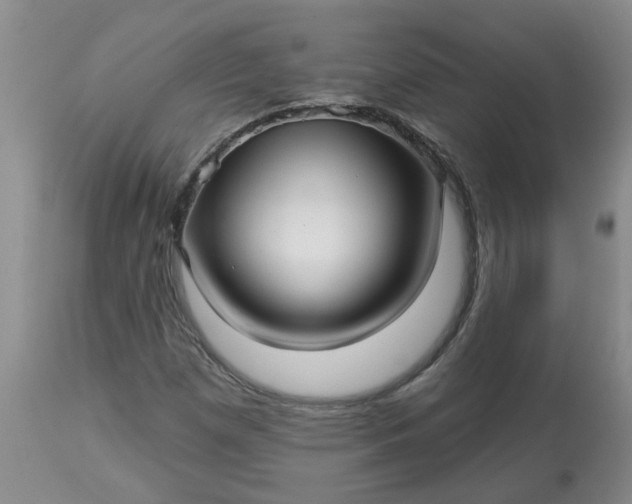 X0000113121257200909111131