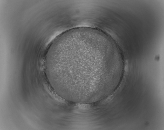 X0000113121258200909111131