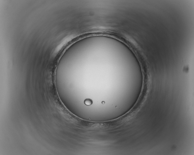 X0000113121259200909111131