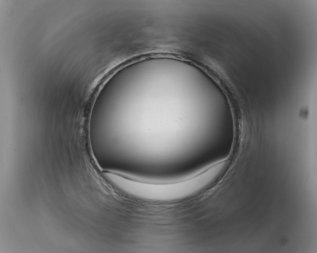 X0000113121260200909111131