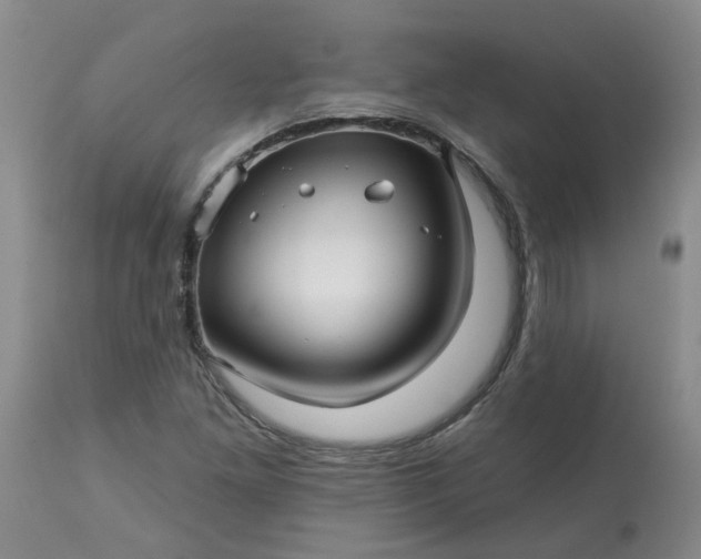 X0000113121261200909111131