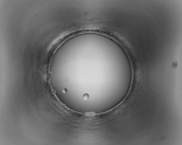 X0000113121262200909111131