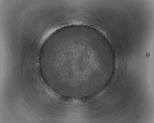 X0000113121263200909111131