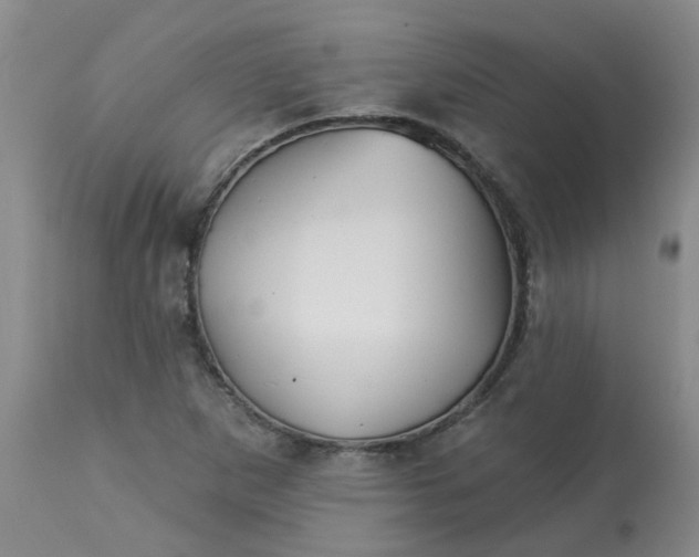 X0000113121265200909111131