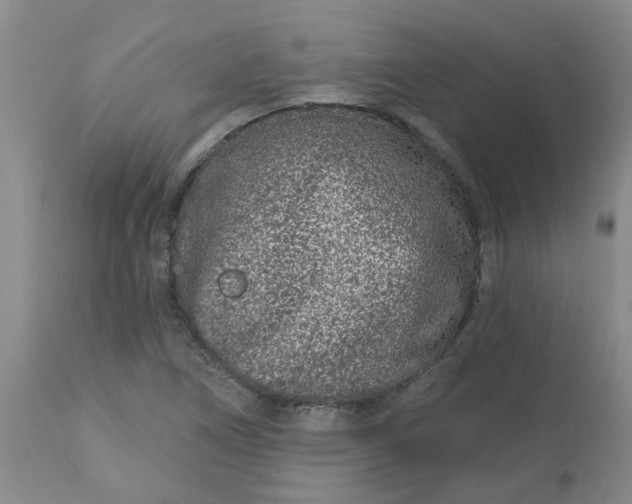 X0000113121266200909111131