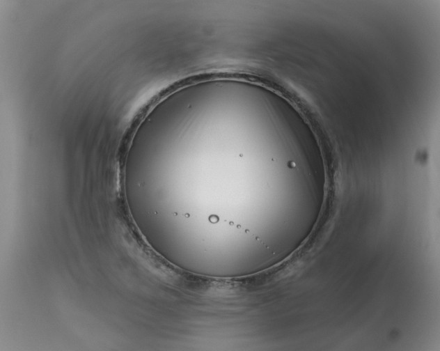 X0000113121267200909111131