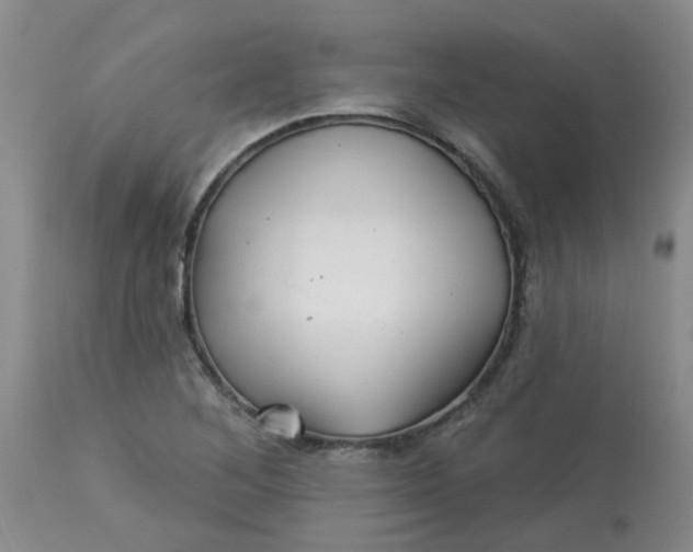 X0000113121268200909111131