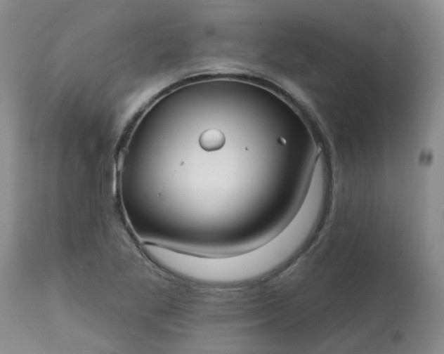 X0000113121269200909111130