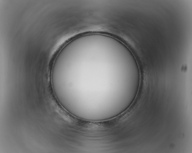 X0000113121270200909111130