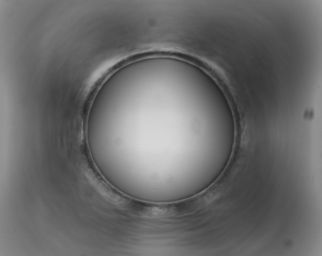 X0000113121271200909111130