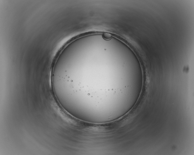 X0000113121272200909111130