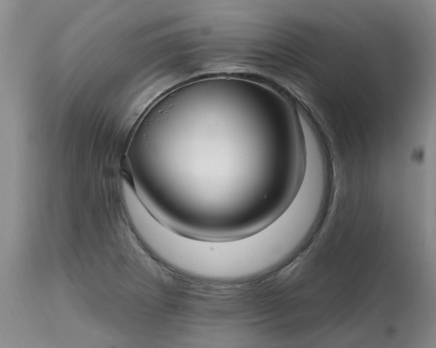 X0000113121273200909111130