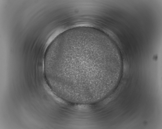 X0000113121274200909111130